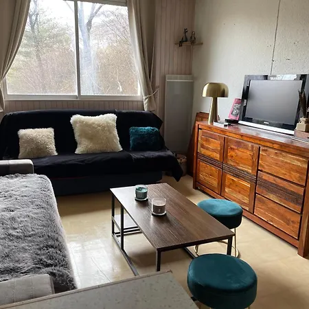 Au Pied Des Pistes * Enchastrayes