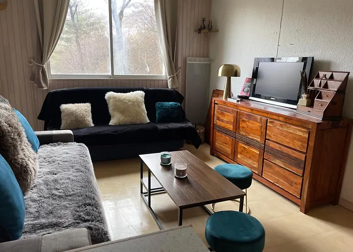 Au Pied Des Pistes * Enchastrayes