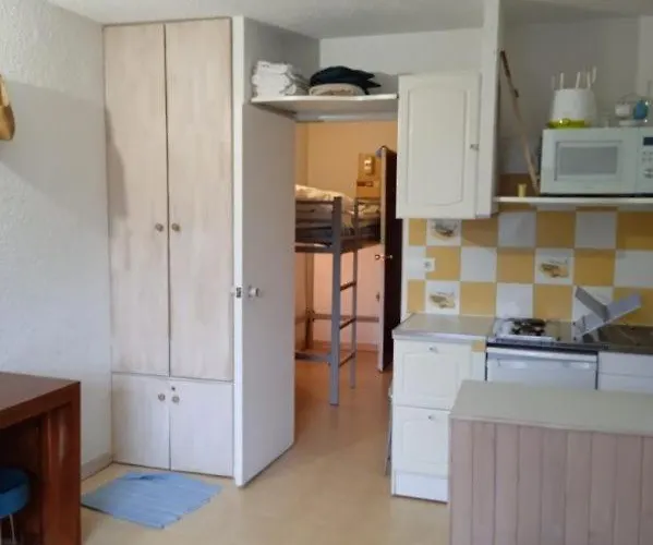 Au Pied Des Pistes Apartment